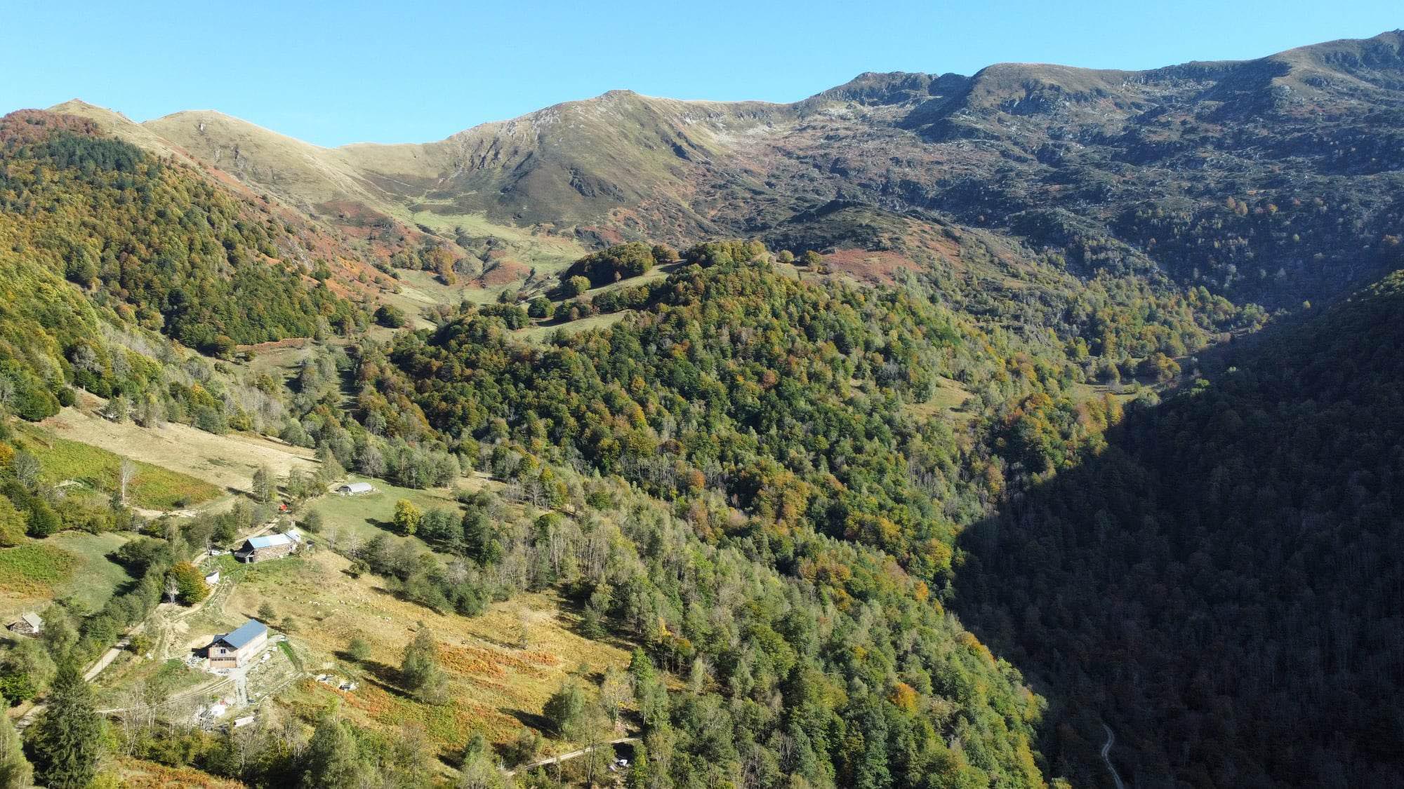 Les Demoiselles de la Plagne