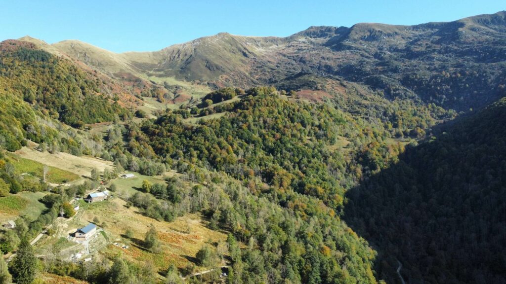 Les Demoiselles de la Plagne