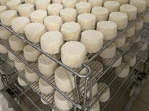 Les Demoiselles de la Plagne