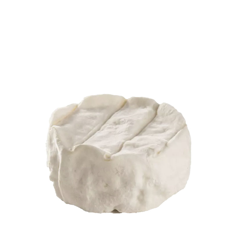 Les Demoiselles de la Plagne