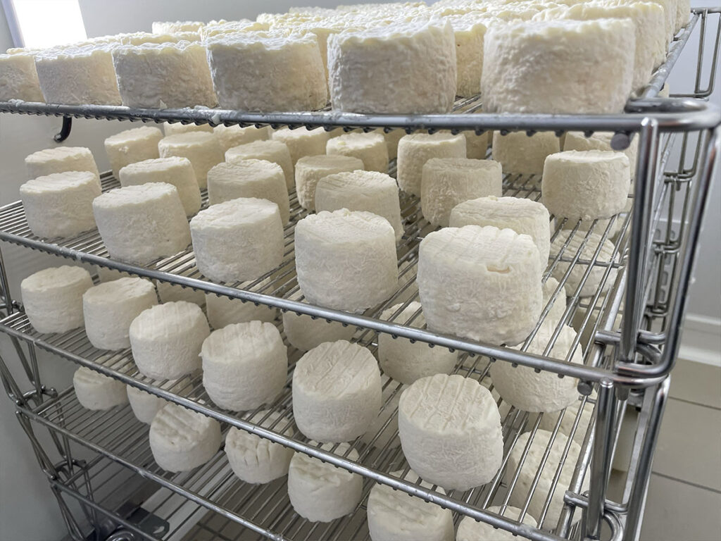 Les Demoiselles de la Plagne