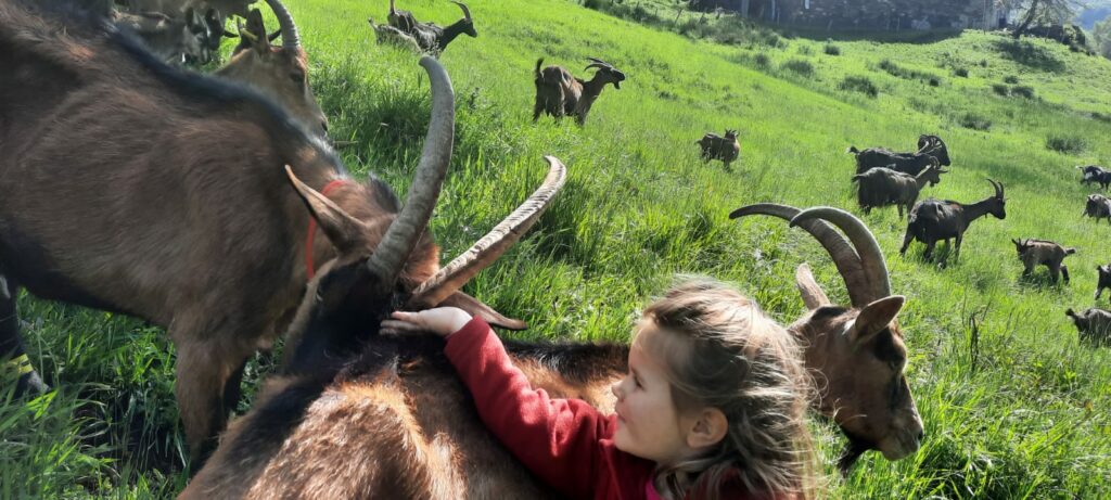Les Demoiselles de la Plagne