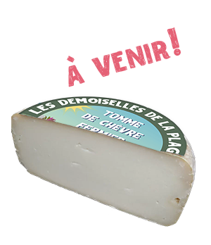 Les Demoiselles de la Plagne