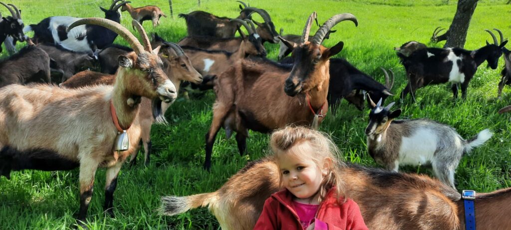 Les Demoiselles de la Plagne