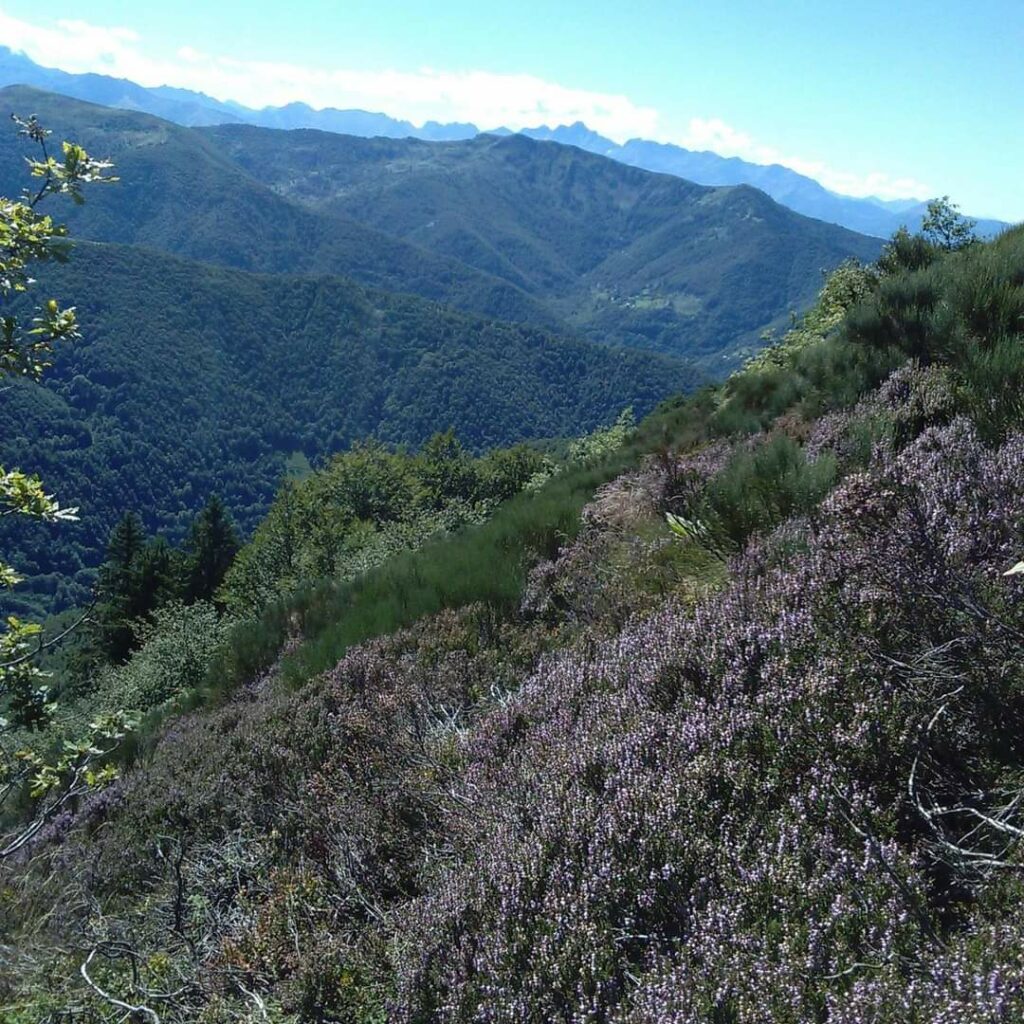 Les Demoiselles de la Plagne