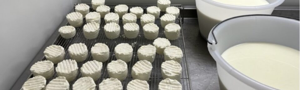 Les Demoiselles de la Plagne